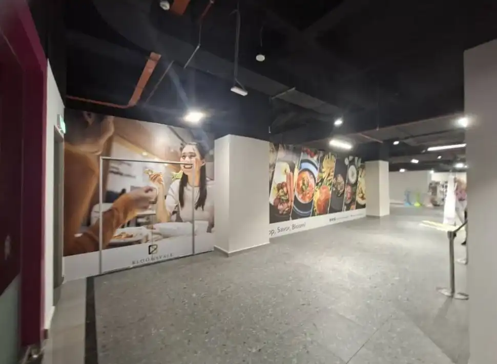 Hoarding and Visual, Bloomsvale Shopping Gallery