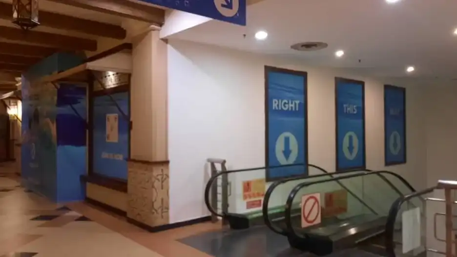 Hoarding, Visual & Glass Sticker, Happy Fish Swim School, Sunway Pyramid